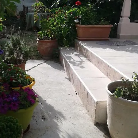 αmmos Paleóchora