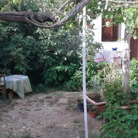 αmmos * Paleóchora